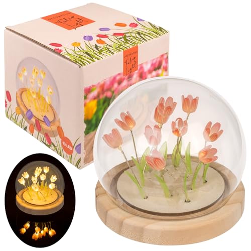 MIJOMA LED Mini Deko-Leuchte Tulpe – Glasdom mit Holzsockel – 10x10 cm – batteriebetriebene Tischleuchte – warmweißes Licht – stilvolles Wohnaccessoire (Koralle) von MIJOMA