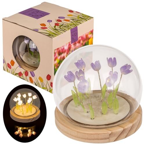 MIJOMA LED Mini Deko-Leuchte Tulpe – Glasdom mit Holzsockel – 10x10 cm – batteriebetriebene Tischleuchte – warmweißes Licht – stilvolles Wohnaccessoire (Violett) von MIJOMA