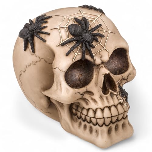 MIJOMA Spardose im Totenkopf-Design – Handbemalte Schädel-Spardose aus Polyresin mit Sicherheits-Schloss – Stilvolle Aufbewahrung für Ersparnisse (mit Spinnen) von MIJOMA