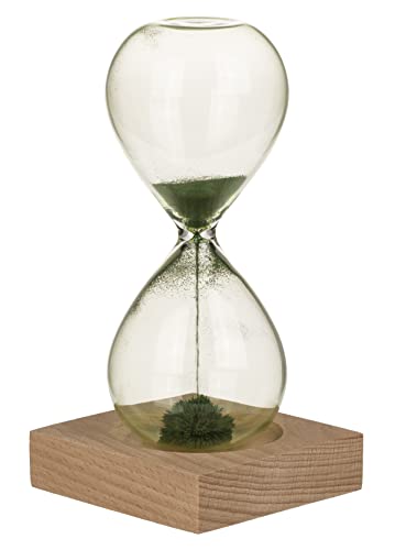 Magnetische Sanduhr mit farbigem Eisensand und elegantem Holzsockel, modernes Wohnaccessoires, Geschenkidee, 1 Minute Countdown Timeruhr Zeitmesser Glas-Dekoration 16 cm hoch (grüner Sand) von MIJOMA