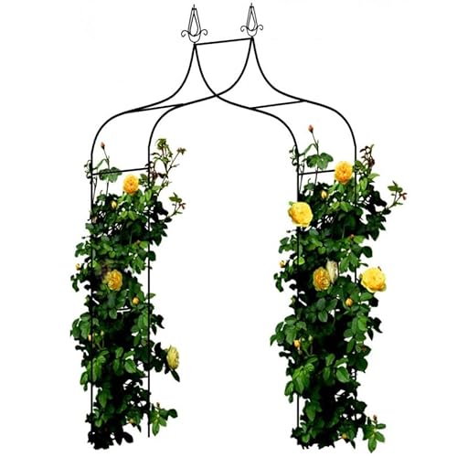 MIKONI Rosenbogen 240x150x37cm Metall Pergola wetterfeste Rankhilfe Rosensäule Rankgitter schwarz/grün Rankgerüst von MIKONI