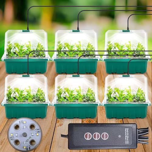 Zimmergewächshaus Anzuchtkasten, 6 Stück Mini Gewächshaus Anzucht mit Hoher Deckel, Setzling Starter mit Timing-Controller (8 LEDS), Tabletts Treibhaus Anzuchtschale mit 10 Etiketten und 2 Werkzeuge von MILAIUN