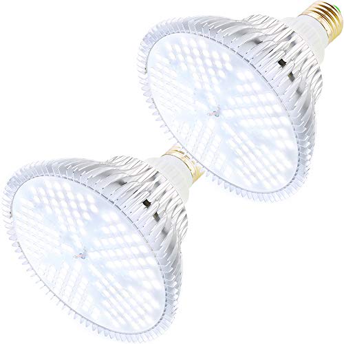 MILYN 100W 2er-Pack LED Pflanzenlampe | E27 Weiß Vollspektrum Grow Light für schnelles, gesundes Pflanzenwachstum | Ideal für Garten, Gewächshaus, Zimmerpflanzen, Sämlinge, Gemüse & Blumen von MILYN