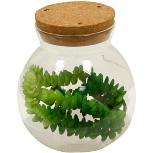 MIMBRE NATURAL Runder Blumentopf aus Glas mit Korkdeckel und LED (15 x 15 x 16,5 cm) von MIMBRE NATURAL
