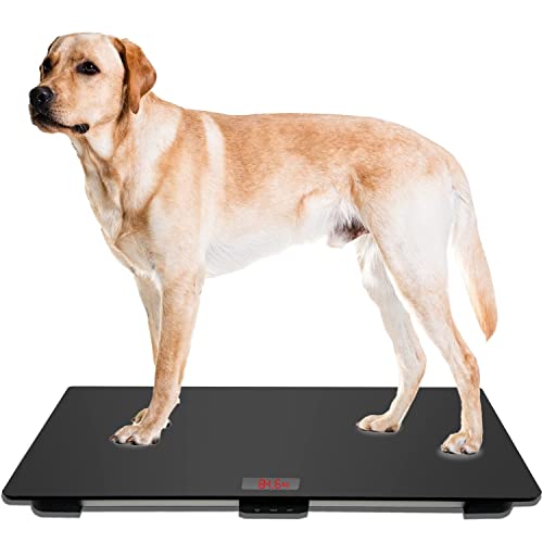 Digitale Hundewaage, Tierwaage, Plattform mit 3 Wiegemodi, kg, oz, lb, 100 kg, Kapazität mit Präzision von 10 g, Schwarz von MINDPET-MED