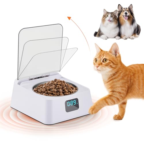 Futterautomat Katze nassfutter mit 350 ml Katzennapf,Nassfutterautomat für Katzen und Hunde Kleine,Automatic cat Feeder für Kurzhaar,Maine Coon,Ragdoll von MINENICE