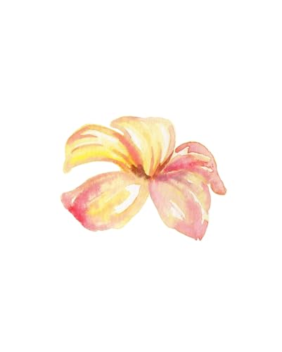 MINGYTN Wandkunst Leinwanddrucke Leinwand Malerei Aquarell Tropische Blumen Poster Hibiscus Frangipani Druck Kunst Bild Für Wohnzimmer Home Wand Decor(K,40x60cm) von MINGYTN