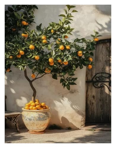 MINGYTN Wandkunst Leinwanddrucke Leinwand Malerei Moderne Griechischen Insel Santorini Strand Olive Baum Landschaft Wohnzimmer Dekoration Wand Dekor(F,40X50cm) von MINGYTN