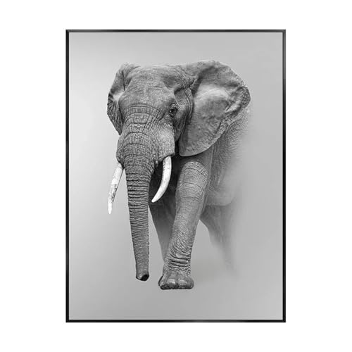 MINGYTN Wandkunst Leinwanddrucke Tier Leopard Löwe Elefant Panda Tiger Moderne Wand Leinwand Dekorative Malerei Wohnzimmer Dekoration Kein Rahmen(C,40X50cm) von MINGYTN