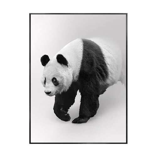 MINGYTN Wandkunst Leinwanddrucke Tier Leopard Löwe Elefant Panda Tiger Moderne Wand Leinwand Dekorative Malerei Wohnzimmer Dekoration Kein Rahmen(D,40x60cm) von MINGYTN