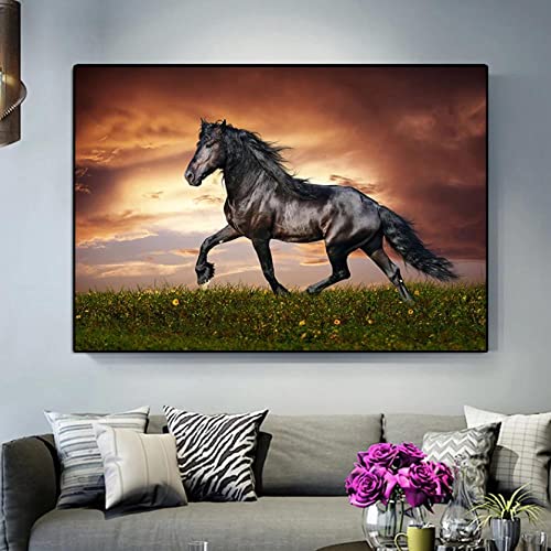 MINGYXZZT Malerei Dekorative Tierisches Pferd Bild Druck Auf Leinwand Poster Drucke Zimmer Wandkunst Bild Home Decoration 50x70cm (Rahmenlos) von MINGYXZZT