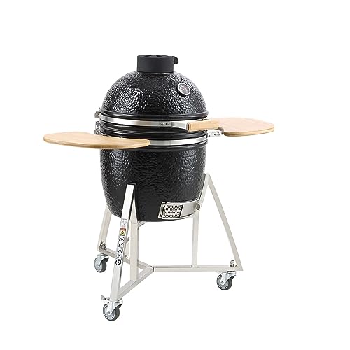 18/24 Zoll tragbarer Holzkohlegrill Propangasgrills mit Abdeckung und Wagen Lehm- und Edelstahl-BBQ-Grill for Camping-Picknick,Hervorragende Stabilität(18inch) von MINING