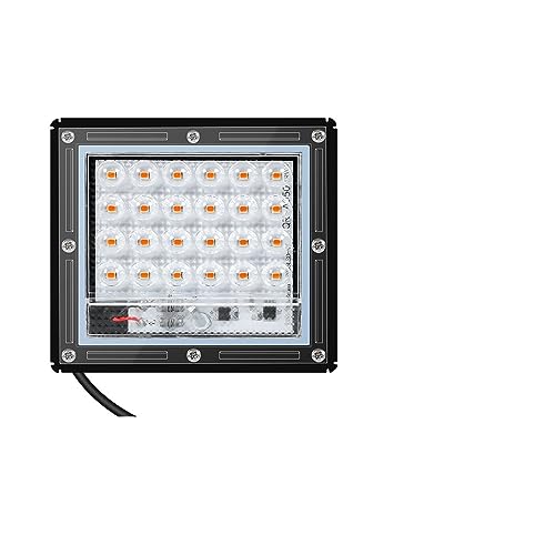Pflanzenlampen, 200W LED-Wachstumslicht, Phyto-Lampe, Vollspektrum-Glühbirne, Hydrokultur-Lampe, Gewächshaus, Blumensamen-Wachstumszelt(25W No Plug) von MINING