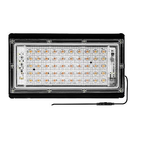 Pflanzenlampen, 200W LED-Wachstumslicht, Phyto-Lampe, Vollspektrum-Glühbirne, Hydrokultur-Lampe, Gewächshaus, Blumensamen-Wachstumszelt(50W With Plug) von MINING