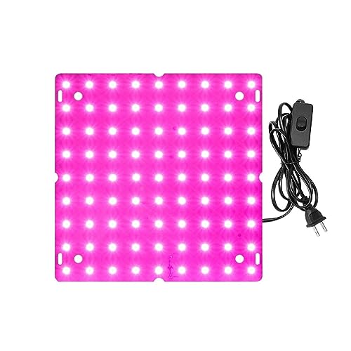 Pflanzenlampen, 3000W Led Wachsen Licht Phyto Lampe for Pflanzen Glühbirne Volle Spektrum Bord Hydrokultur Wachsen System Gewächshaus Blumen Samen(A-500W-02) von MINING
