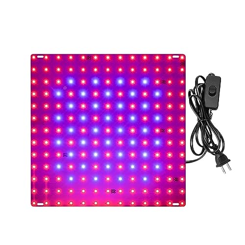 Pflanzenlampen, 3000W Led Wachsen Licht Phyto Lampe for Pflanzen Glühbirne Volle Spektrum Bord Hydrokultur Wachsen System Gewächshaus Blumen Samen(A-800W 2PCS) von MINING