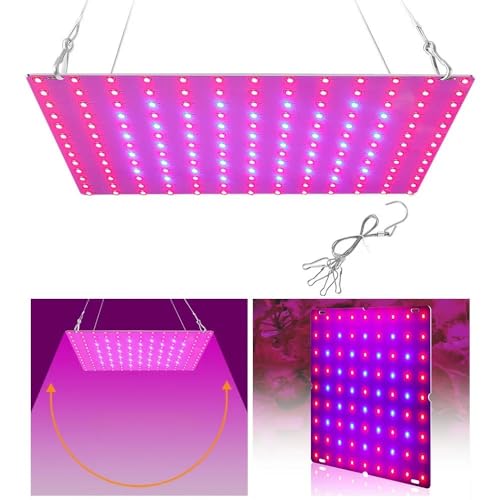 Pflanzenlampen, 81-312LED Grow Plant Lights, 25W-80W Voll-Gewächshaus-Wachstumslampe for Zimmerpflanzen Veg Hydroponic Phytolamp(169LED Red Blue) von MINING