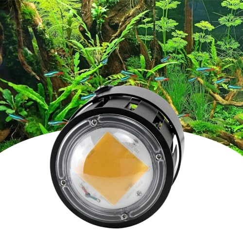 Pflanzenlampen, Aquarium-Glühbirne, 200 W, Pflanzen-Wachstumslichter, Aquarium-Lichter, Voll-Aquarium-Lampe, Wasserpflanzen, Salzwasser-Tankkoralle(6500K coolwhite) von MINING