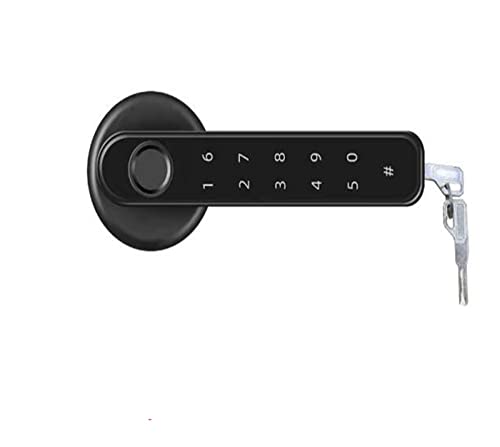Smart Lock, Startseite Smartlife Fingerabdruck &PIN Wireless Smart Handle Lock Biometrics Tuya Access Control Türschloss für die Haustür(Kit1) von MINING