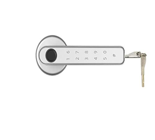 Smart Lock, Startseite Smartlife Fingerabdruck &PIN Wireless Smart Handle Lock Biometrics Tuya Access Control Türschloss für die Haustür(Kit2) von MINING