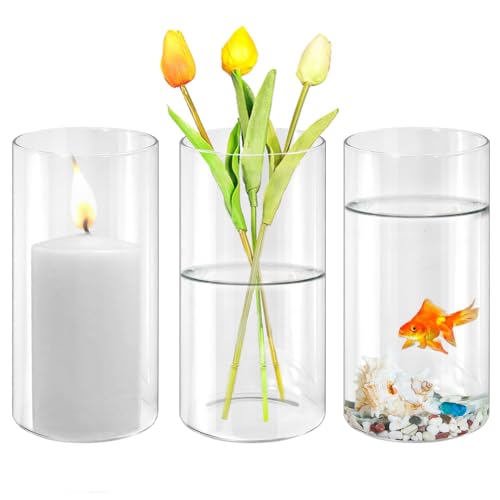 MININUSI 3 Stück Tischvase, 10cm* 20cm Vase Glas, Blumen Glas Vasen, Modern Glasvase Durchsichtig Blumenvase, Klarglas Glaszylinder mit Boden, Zylinder Glaszylinder für Hochzeit Tischdeko Deko von MININUSI