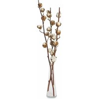 Minkurow - 3 echte Baumwollzweige – 50 cm – 7–9 Blumen pro Baumwollzweig – echte Pflanze, getrocknet, sehr langlebig – schöne Dekoration mit Stil von MINKUROW