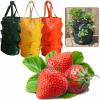 Erdbeer-Pflanzbeutel – Erdbeer-Pflanzbeutel – 3 Gallonen und 10 Mund-Stoff-Pflanzbeutel zum Aufhängen, Tomaten-Kräuter-Erdbeer-Anbaubeutel (3 Stück von MINKUROW