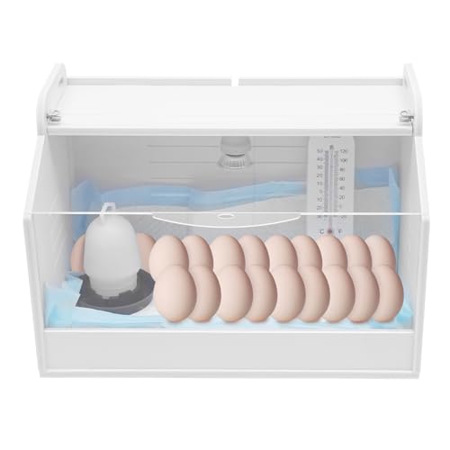 MINRS Brutautomat Vollautomatisch für 20 Eier, Inkubator für 20 Eier mit Temperatur- und Feuchtigkeitskontrolle Brutkasten Hühner Brutmaschine Vollautomatisch für Hühnereier, Wachtel und Enteneier MINRS Brutautomat Vollautomatisch für 20 Eier, Inkubator für 20 Eier mit Temperatur- und Feuchtigkeitskontrolle Brutkasten Hühner Brutmaschine Vollautomatisch für Hühnereier, Wachtel und Enteneier von MINRS