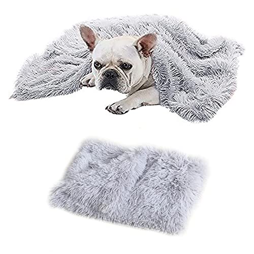 MIOKY Flauschige Hundedecke Katzendecke für Kleine Welpe Kätzchen 56 x 36 cm,Doppelseitige Plüschdecke Haustier Weiche Warme Kunstfell Fleece Decke Waschbare Schlafdecke Hundebett,Grau MIOKY Flauschige Hundedecke Katzendecke für Kleine Welpe Kätzchen 56 x 36 cm,Doppelseitige Plüschdecke Haustier Weiche Warme Kunstfell Fleece Decke Waschbare Schlafdecke Hundebett,Grau von MIOKY