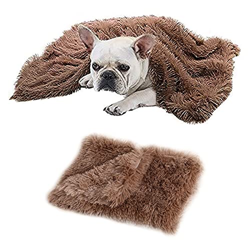 MIOKY Flauschige Hundedecke Katzendecke für Kleine Welpe Kätzchen 56 x 36 cm,Doppelseitige Plüschdecke Haustier Weiche Warme Kunstfell Fleece Decke Waschbare Schlafdecke Hundebett,Kaffee MIOKY Flauschige Hundedecke Katzendecke für Kleine Welpe Kätzchen 56 x 36 cm,Doppelseitige Plüschdecke Haustier Weiche Warme Kunstfell Fleece Decke Waschbare Schlafdecke Hundebett,Kaffee von MIOKY