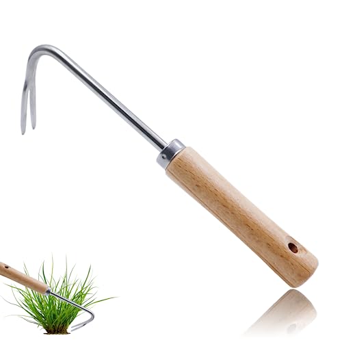 MIPIACE Unkrautstecher mit Stiel Löwenzahnstecher Distelstecher Unkrautausstecher Unkrautjäter Gartenkralle mit Stiel Holzgriff Unkraut Ausstecher Edelstahl für Unkraut Umpflanzen Unkraut Jäten MIPIACE Unkrautstecher mit Stiel Löwenzahnstecher Distelstecher Unkrautausstecher Unkrautjäter Gartenkralle mit Stiel Holzgriff Unkraut Ausstecher Edelstahl für Unkraut Umpflanzen Unkraut Jäten von MIPIACE