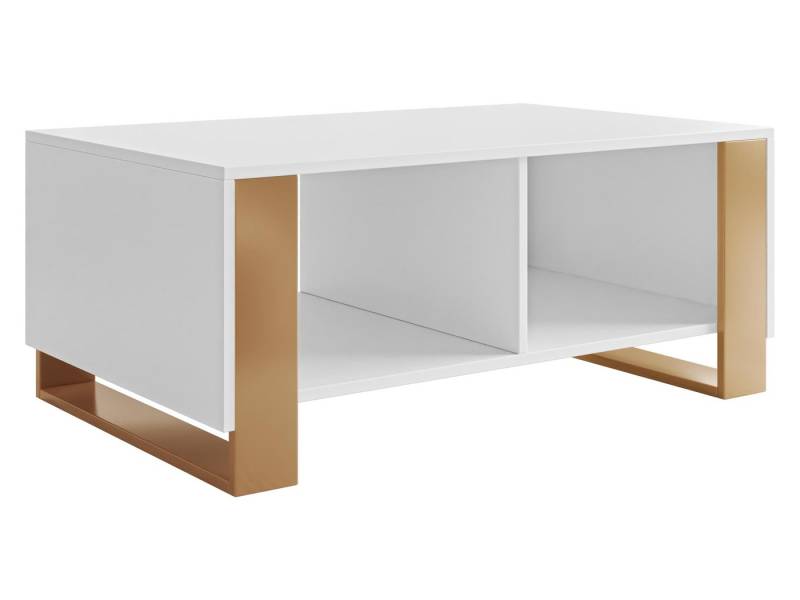 MIRJAN24 Couchtisch Loutio (mit Einlegebode), 95x60x40 cm von MIRJAN24