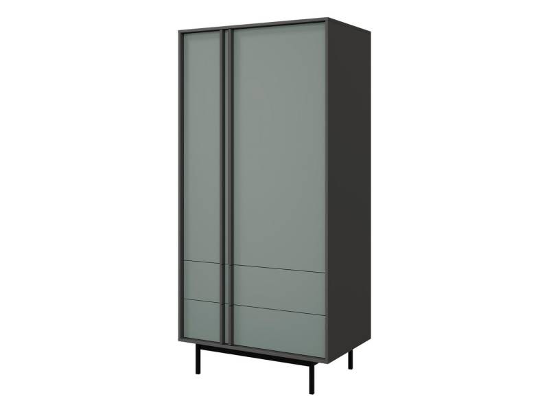 MIRJAN24 Kleiderschrank Alsy 2D2S AL01 (mit zwei Drehtüren und zwei Schubladen) Untergestell aus Metall, Kleiderstange von MIRJAN24