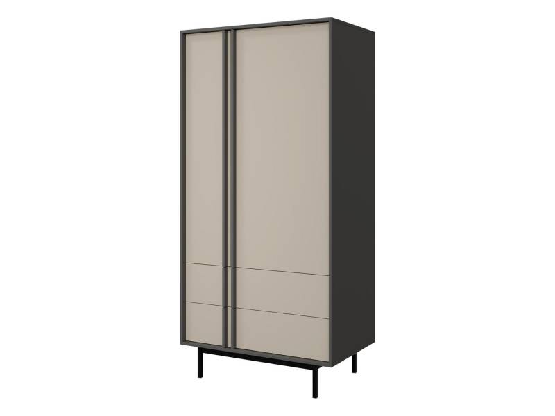 MIRJAN24 Kleiderschrank Alsy 2D2S AL01 (mit zwei Drehtüren und zwei Schubladen) Untergestell aus Metall, Kleiderstange von MIRJAN24