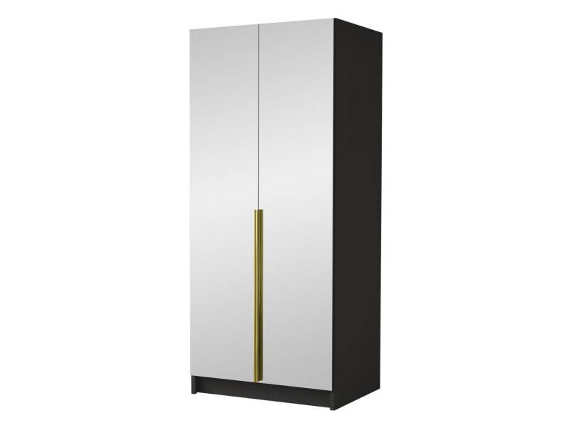 MIRJAN24 Kleiderschrank Bono III (mit zwei Drehtüren) Kleiderstange, Metallgriffe, Frontspiegel von MIRJAN24