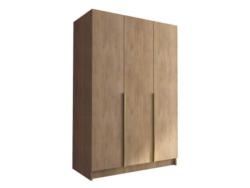 MIRJAN24 Kleiderschrank Calia I (mit drei Drehtüren) Kleiderstange, Metallgriffe von MIRJAN24