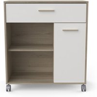 Mikrowagen mit 1 Schublade, 1 Tür und 2 Fächern H90,3 cm – MINT von MIROYTENGO