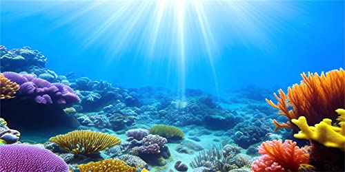 MIRRORANG 120x46cm Unterwasser Aquarium Hintergrund Sonnenlicht Blaues Meer Buntes Korallenriff Unterwasserwelt Aquarium Poster Hintergrund von MIRRORANG