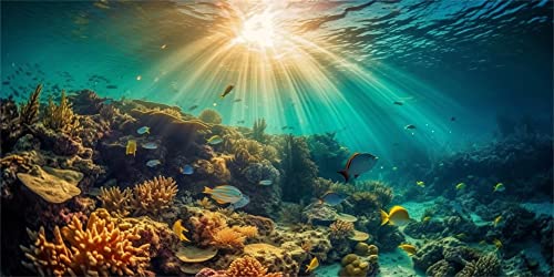 MIRRORANG 120x50cm Unterwasser-Thema Aquarium Aquarium Hintergrund Sonnenschein Korallenriff Unterwasserwelt Aquarium Poster Hintergrund von MIRRORANG