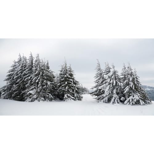 MIRRORANG 120x50cm Weißer Aquarium Hintergrund mit verschneiter Landschaft für Neujahrs und Weihnachtsdekor, Winter, schneebedeckte Bäume, Wald, Aquarium Hintergrund, Vinyl MIRRORANG 120x50cm Weißer Aquarium Hintergrund mit verschneiter Landschaft für Neujahrs und Weihnachtsdekor, Winter, schneebedeckte Bäume, Wald, Aquarium Hintergrund, Vinyl von MIRRORANG