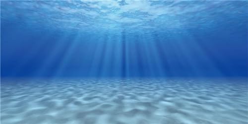 MIRRORANG 180x46cm Unterwasser-Thema Aquarium Hintergrund Sonnenschein Unterwasserwelt Aquarium Dekoration Hintergrund Vinyl Hintergrund von MIRRORANG