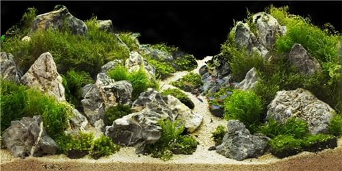 MIRRORANG 180x61cm Aquarium Hintergrund Felsen 3D Felsen Steine Gras Terrarium Hintergrund Dekoration Reptilien Tank Hintergründe MIRRORANG 180x61cm Aquarium Hintergrund Felsen 3D Felsen Steine Gras Terrarium Hintergrund Dekoration Reptilien Tank Hintergründe von MIRRORANG