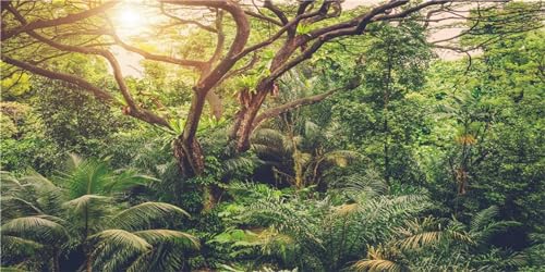 MIRRORANG 180x61cm Deep Forest Terrarium Hintergrund Regenwald Aquarium Hintergrund Sonne Tropisch Riesige Bäume Reptilien Lebensraum Hintergrund Durable Vinyl Hintergrund von MIRRORANG