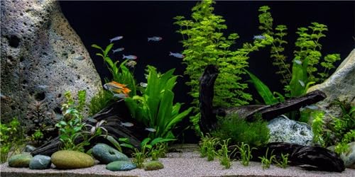 MIRRORANG 180x61cm Vinyl Unterwasser Wasserpflanze Aquarium Hintergrund Stein Fluss Bett & See Aquarium Hintergrund MIRRORANG 180x61cm Vinyl Unterwasser Wasserpflanze Aquarium Hintergrund Stein Fluss Bett & See Aquarium Hintergrund von MIRRORANG