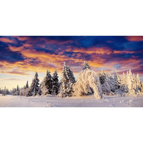 MIRRORANG 61x30cm Aquarium Hintergrund Schneelandschaft mit verschneiten Feldern und Kiefern, langlebiger Aquarium Hintergrund für Silvester Dekoration, Vinyl MIRRORANG 61x30cm Aquarium Hintergrund Schneelandschaft mit verschneiten Feldern und Kiefern, langlebiger Aquarium Hintergrund für Silvester Dekoration, Vinyl von MIRRORANG