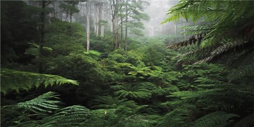 MIRRORANG 61x30cm Foggy Forest Terrarium Hintergrund Grüner Baum Reptil Lebensraum Hintergrund Tropischer Regenwald Aquarium Hintergrund Haltbarer Vinyl Hintergrund von MIRRORANG