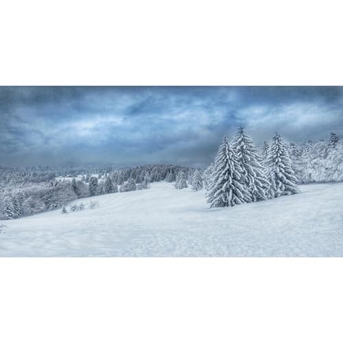 MIRRORANG 61x30cm Schneebedeckter Kiefernwald, Schneefeld, Aquarium Hintergrund, Winterliche Schneelandschaft als Aquarium Hintergrund, Neujahrsdeko, Vinyl von MIRRORANG