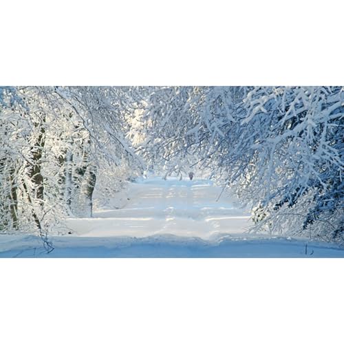 MIRRORANG 61x30cm Starker Schneefall, Naturlandschaft, Winter, schneebedeckte Straße, Kiefernwald, Aquarium Hintergrund, saisonale Dekoration, Vinyl MIRRORANG 61x30cm Starker Schneefall, Naturlandschaft, Winter, schneebedeckte Straße, Kiefernwald, Aquarium Hintergrund, saisonale Dekoration, Vinyl von MIRRORANG