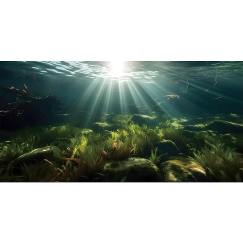 MIRRORANG 61x30cm Unterwasser Aquarium Hintergrund Wasserpflanze Sonne Terrarium Hintergrund Unterwasser Aquarium Hintergrund von MIRRORANG