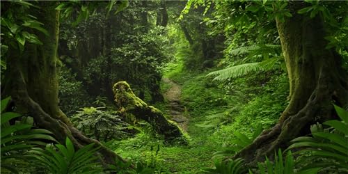 MIRRORANG 61x30cm Wald Terrarium Hintergrund Tropisches Aquarium Hintergrund Grüner Baum Reptilien Lebensraum Hintergrund Haltbarer Vinyl Hintergrund von MIRRORANG